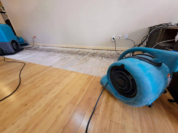 Professional Basement Flood Cleanup technician working in Coats, NC